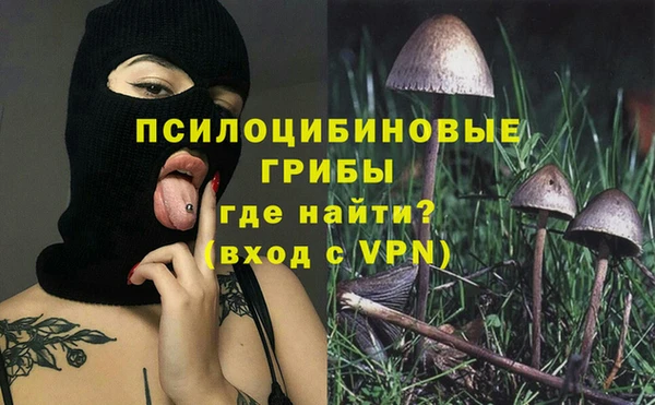 дмт Горнозаводск
