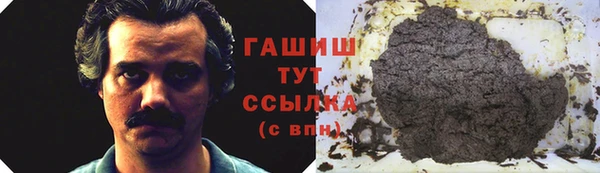 гидра Горно-Алтайск