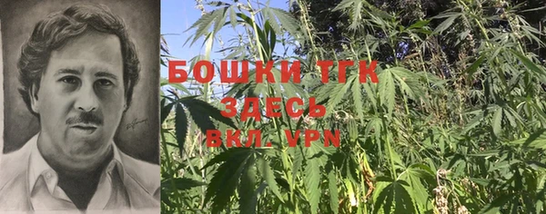 гидра Горно-Алтайск