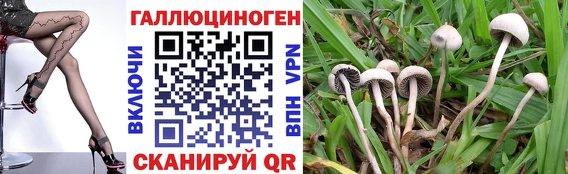 Галлюциногенные грибы ЛСД  Купить закладки  Будённовск 