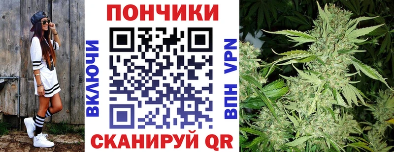Купить где  Будённовск  Бошки марихуана ГИДРОПОН 